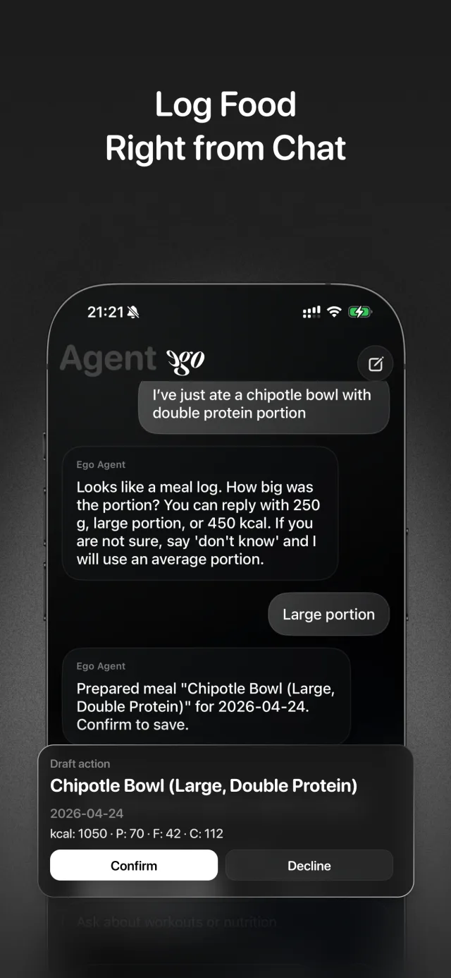 Chatting with the Ego Agent inside the app